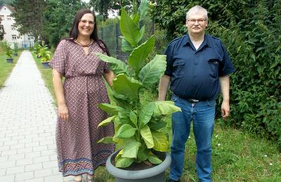 Unser Garten Unser Garten